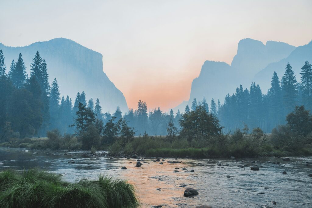 Sunset Bay Plot