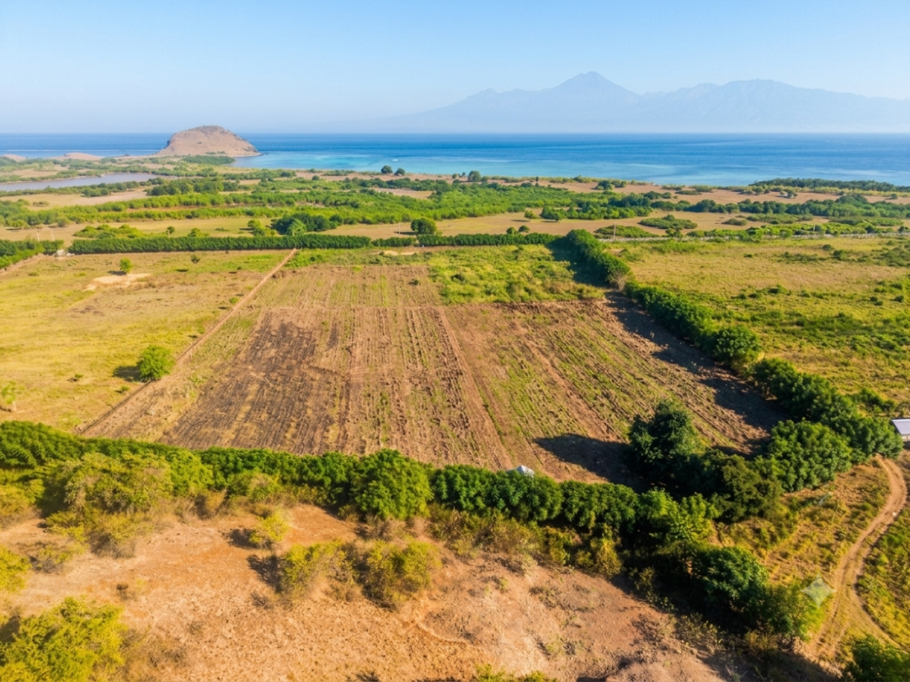 Hill View Plot 1