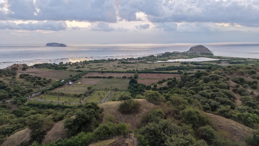 Cliff Ocean Plot
