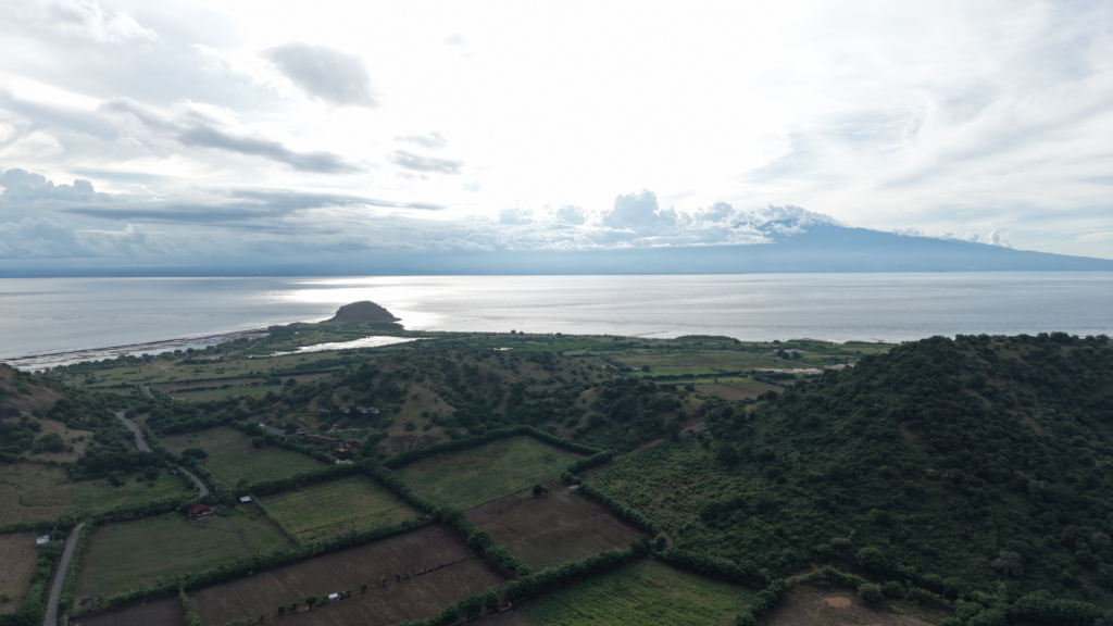 Cliff Ocean Plot