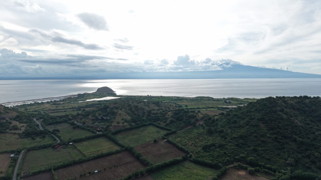 Cliff Ocean Plot